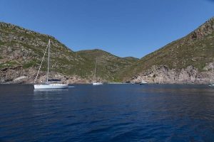 daydreamer on cruise daydreamer on cruise