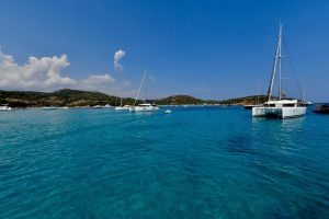 Daydreamer Rondinara Daydreamer Rondinara