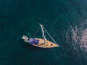 daydreamer top view daydreamer top view