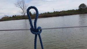 clove hitch clove hitch