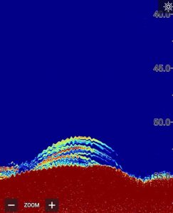 vertical fishing snapper Raymarine fishing equipment